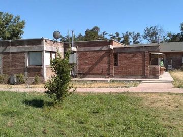 LAS PALMERAS CON BALMACEDA
