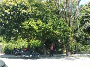 Tanah langkai di pusat Praya berseberangan dengan rs siloam, dekat akses ke bandara cilik riwut