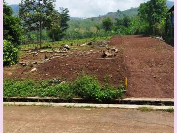 Akses Mudah Kapling Tanah Cicalengka Bandung 100 Jutaan