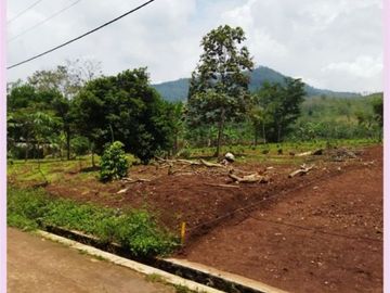 Akses Mudah Kapling Tanah Cicalengka Bandung 100 Jutaan