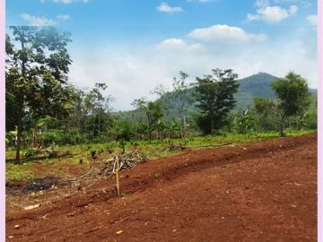 Akses Mudah Kapling Tanah Cicalengka Bandung 100 Jutaan