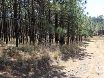 Excelente oportunidad para Inversionistas Terreno en venta en Monte de Peña, Villa del Carbón