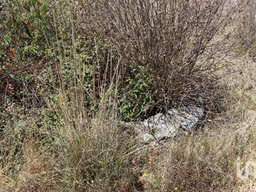 Excelente oportunidad para Inversionistas Terreno en venta en Monte de Peña, Villa del Carbón