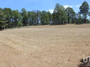 Excelente oportunidad para Inversionistas Terreno en venta en Monte de Peña, Villa del Carbón