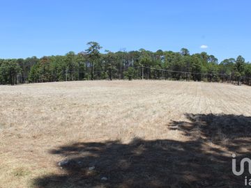 Excelente oportunidad para Inversionistas Terreno en venta en Monte de Peña, Villa del Carbón