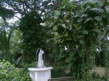casalote en venta en sabanilla. Cod V13097