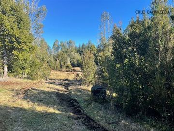 Agrícola en Venta en Maullin
