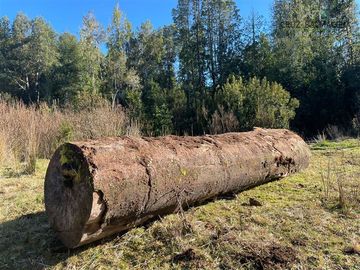 Agrícola en Venta en Maullin