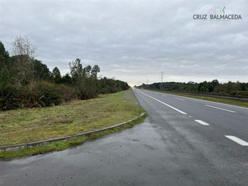 Agrícola en Venta en Maullin