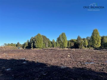 Agrícola en Venta en Maullin