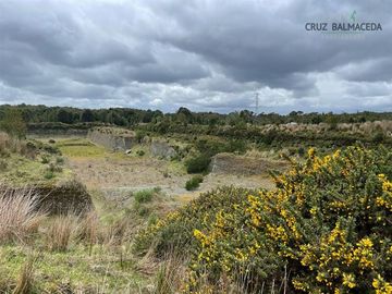 Agrícola en Venta en Maullin