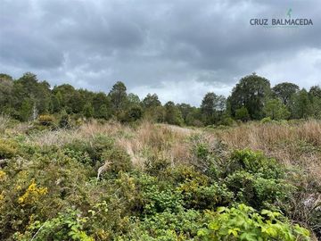 Agrícola en Venta en Maullin