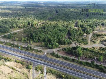 Agrícola en Venta en Maullin