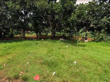 Tanah Murah Dekat Jalan Intan, Bisa Di Cicil 12X