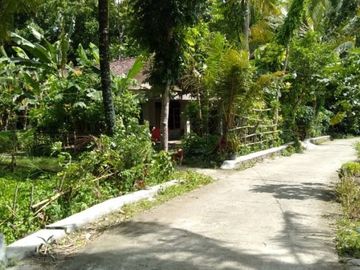 Rumah Minimalis Terbaik SHM Lokasi Bantul