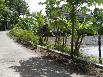 Rumah Minimalis Terbaik SHM Lokasi Bantul