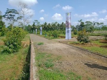 Rumah Kebun Durian Sistem Syariah Cigalontang Singaparna Tasikmalaya