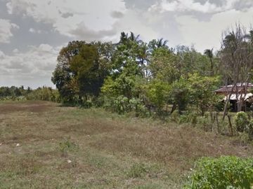 20 hectare raw land along national hiway in Bauan Batangas