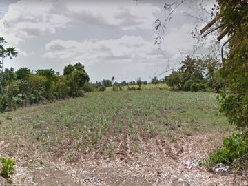 20 hectare raw land along national hiway in Bauan Batangas