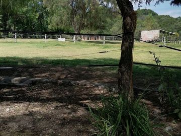 RANCHO LAS PALMAS EN VENTA TEPEJI DEL RIO