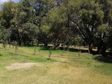 RANCHO LAS PALMAS EN VENTA TEPEJI DEL RIO