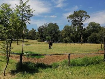 RANCHO LAS PALMAS EN VENTA TEPEJI DEL RIO