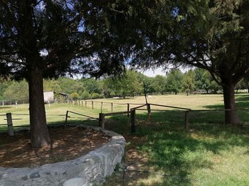 RANCHO LAS PALMAS EN VENTA TEPEJI DEL RIO