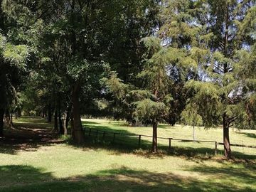 RANCHO LAS PALMAS EN VENTA TEPEJI DEL RIO