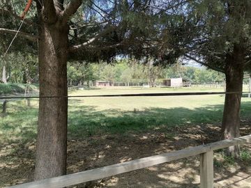 RANCHO LAS PALMAS EN VENTA TEPEJI DEL RIO