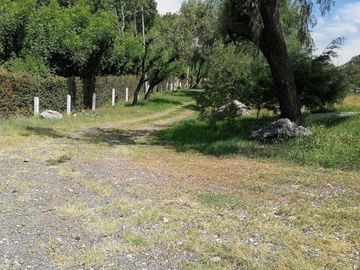 RANCHO LAS PALMAS EN VENTA TEPEJI DEL RIO