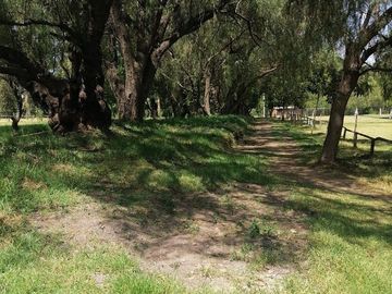 RANCHO LAS PALMAS EN VENTA TEPEJI DEL RIO