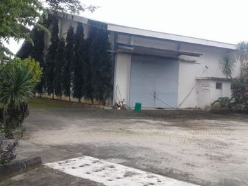 pabrik bekas pabrik teh di mojosari,mojokerto