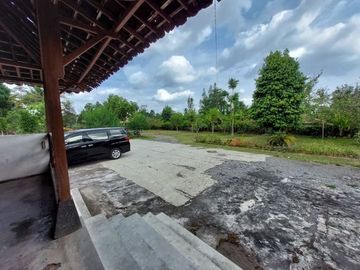 Tanah Bonus Rumah Limasan Klasik Jati Lawas Di Bimomartani