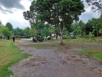 Tanah Bonus Rumah Limasan Klasik Jati Lawas Di Bimomartani