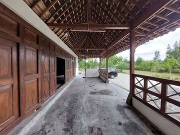 Tanah Bonus Rumah Limasan Klasik Jati Lawas Di Bimomartani