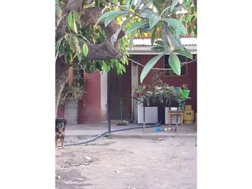 BUIN CENTRO