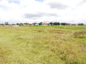Tanah Dijual Murah, Area Delanggu Dekat Pintu Tol Ceper