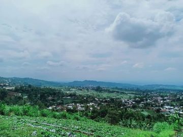 Tanah 345 View Kebun Teh Kemuning Ngargoyoso Karanganyar