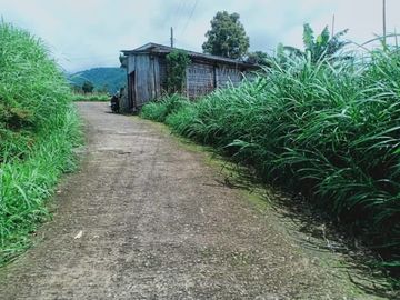 Tanah 345 View Kebun Teh Kemuning Ngargoyoso Karanganyar