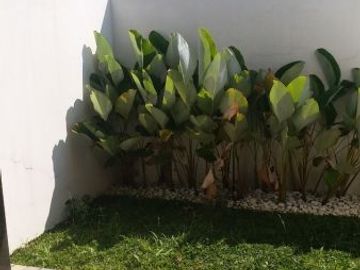 Rumah Asri Minimalis Dekat Sentra Sepatu Cibaduyut Bandung