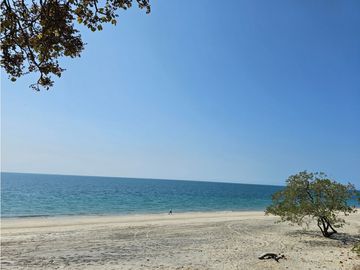 Se vende terreno de Playa  de 2612.78mts2 en Bijao (JAG/DR)