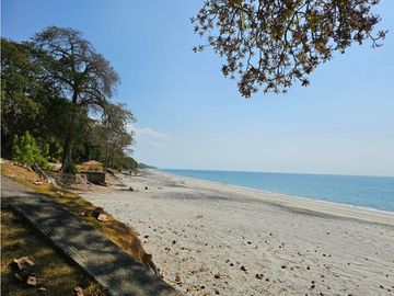 Se vende terreno de Playa  de 2612.78mts2 en Bijao (JAG/DR)