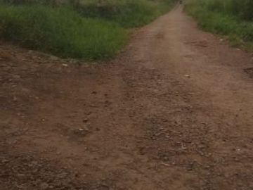 Jual Cepat Tanah Pertanian 130 Ha Di Cipanas Kota Cianjur
