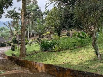 Jual Lahan Perkebunan dan Agro Wisata Lokasi Nagrak, Sukabumi