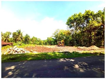 Lebar 10 m: Tanah Kulonprogo, PROFIT PASTI