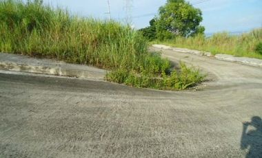 High End Lot only subdivision in Vista Grande Cebu