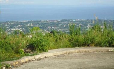 High End Lot only subdivision in Vista Grande Cebu