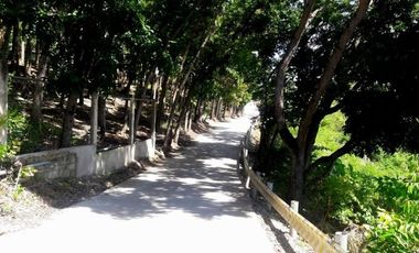 Affordable Ready to Build 100 Sqm Lot for Sale in Consolacion, Cebu