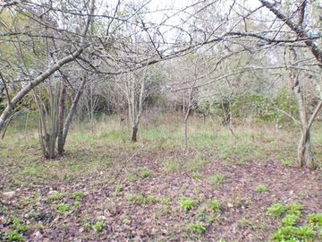 COD33090 Terreno Construccion 4.600m2 en Venta en Temuco