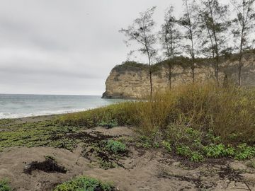 Se Vende Terreno para Desarrollar Frente al Mar en Puerto Rico